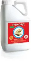Рекорд ТН