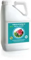 АВАНГАРД®Р Квіти, трави